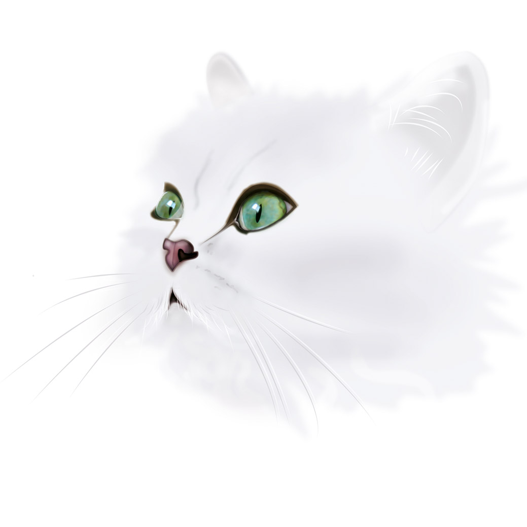 Illustration Chat