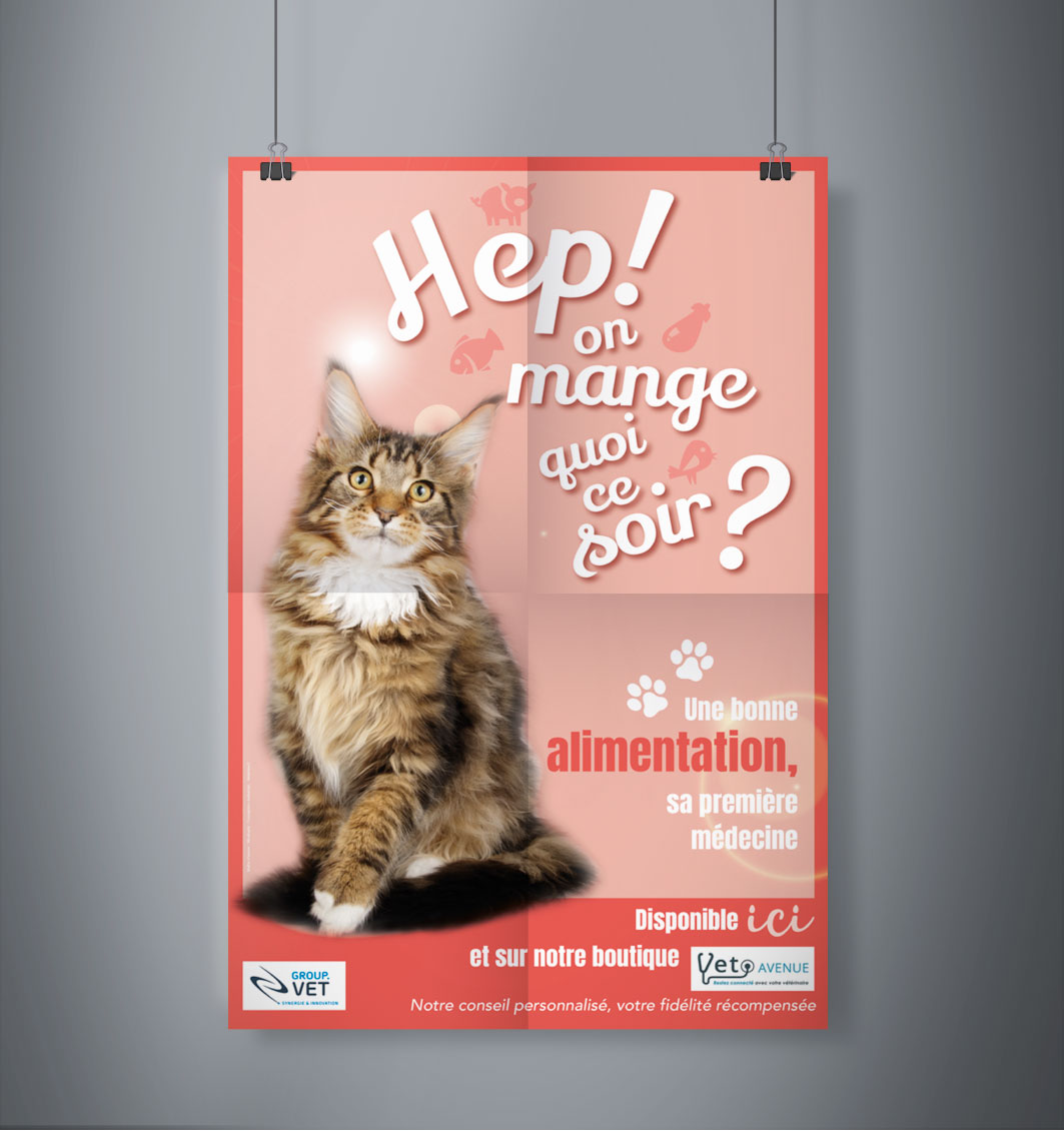 Affiche chat nutrition