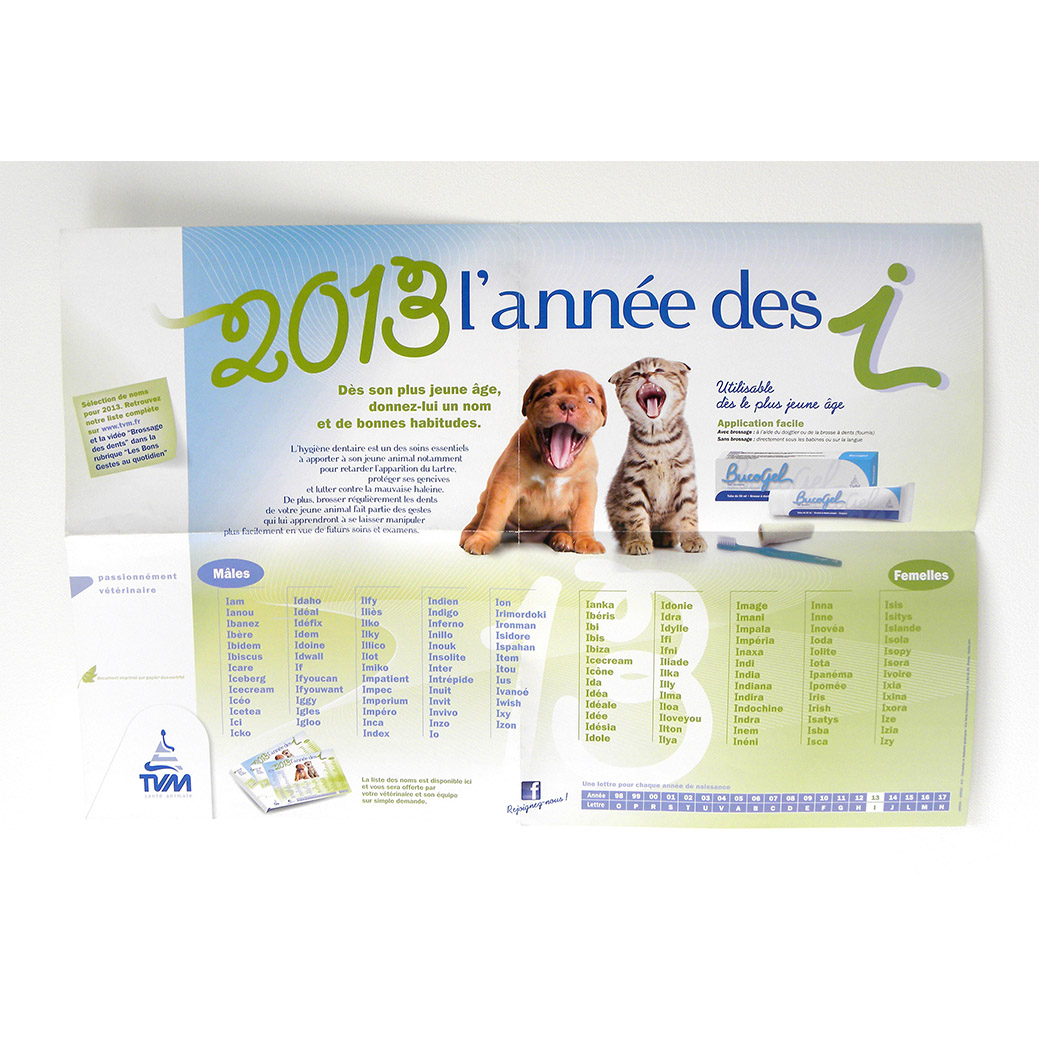 Création poster